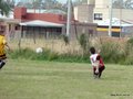 AFUCO14FA2013 008