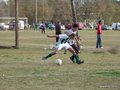 AFUCO14FA2013 040