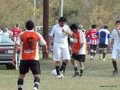 AFUCO14FA2013 042