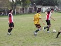 AFUCO14FA2013 003