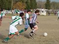AFUCO14FA2013 027