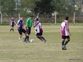 AFUCO14FA2013 014