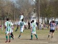 AFUCO14FA2013 032