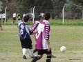 AFUCO14FA2013 015