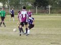 AFUCO14FA2013 013