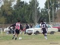 AFUCO15FA2013 034