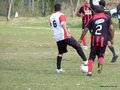 AFUCO15FA2013 001