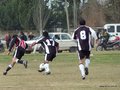 AFUCO15FA2013 033