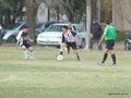 AFUCO15FA2013 026