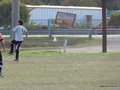 AFUCO16FA2013 041