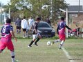 AFUCO16FA2013 003