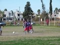 AFUCO16FA2013 006