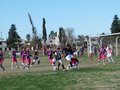 AFUCO16FA2013 011