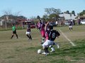 AFUCO16FA2013 012