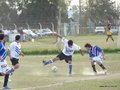 AFUCO16FA2013 125