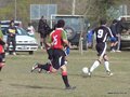 AFUCO16FA2013 065