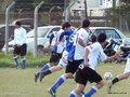 AFUCO16FA2013 127