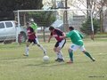 AFUCO16FA2013 097