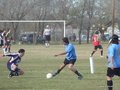 AFUCO16FA2013 102