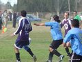 AFUCO16FA2013 104
