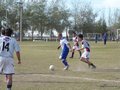 AFUCO16FA2013 078