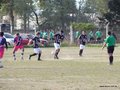 AFUCO16FA2013 001