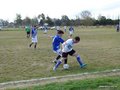 AFUCO16FA2013 132