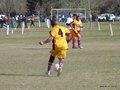 AFUCO17FA2013 068