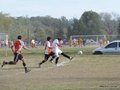 AFUCO17FA2013 056