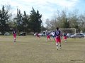 AFUCO17FA2013 126