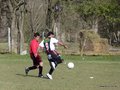 AFUCO17FA2013 100