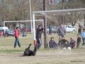 AFUCO17FA2013 040