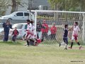 AFUCO17FA2013 011