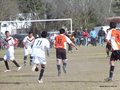 AFUCO17FA2013 060