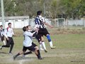 AFUCO17FA2013 028