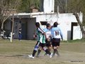 AFUCO17FA2013 088