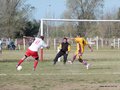 AFUCO17FA2013 081