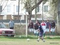 AFUCO17FA2013 009