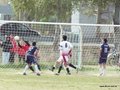 AFUCO17FA2013 010