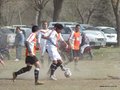 AFUCO17FA2013 066