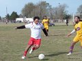 AFUCO17FA2013 073