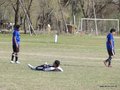 AFUCO17FA2013 112