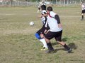 AFUCO17FA2013 030