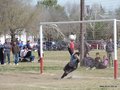 AFUCO17FA2013 047