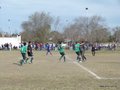 AFUCO17FA2013 050