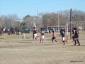 AFUCO4tosA2013 038