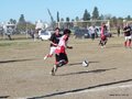 AFUCO4tosA2013 044