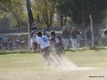 AFUCO4tosA2013 007