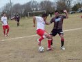 SEMIFINAL_AFUCO2013A 036