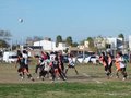 AFUCO_FINAL_APERTURA2013 290